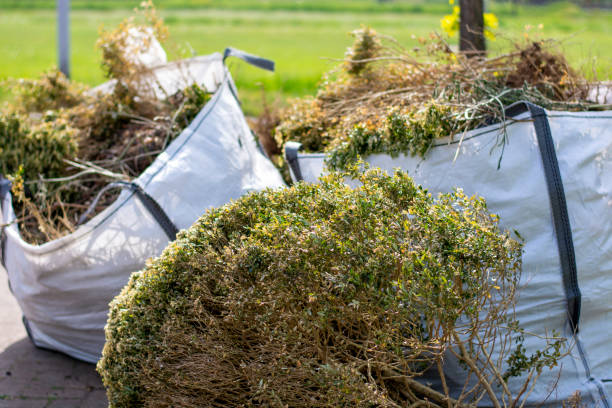 Best Shed Removal  in Uvalde Estates, TX